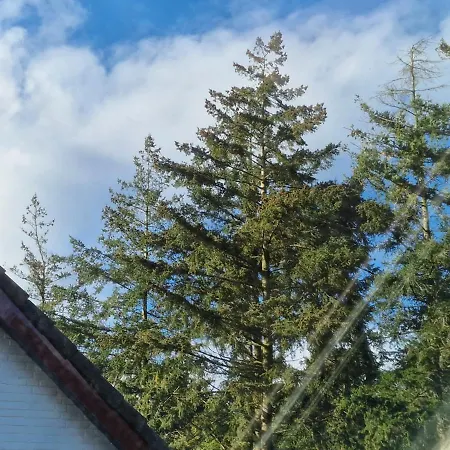 Bed & Breakfast Carpe Diem *