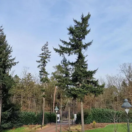 Bed & Breakfast Carpe Diem Ulicoten