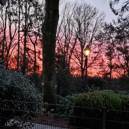 Carpe Diem Bed & Breakfast