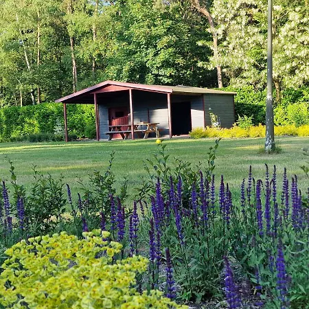 Bed & Breakfast Carpe Diem Ulicoten