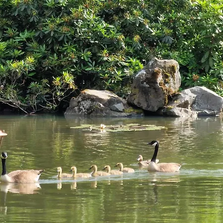 Carpe Diem Bed & Breakfast *